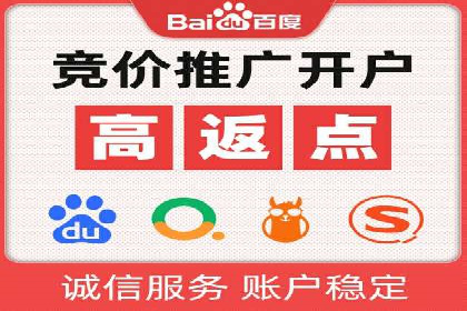 行业翘楚的sem代运营机构：成功案例解析